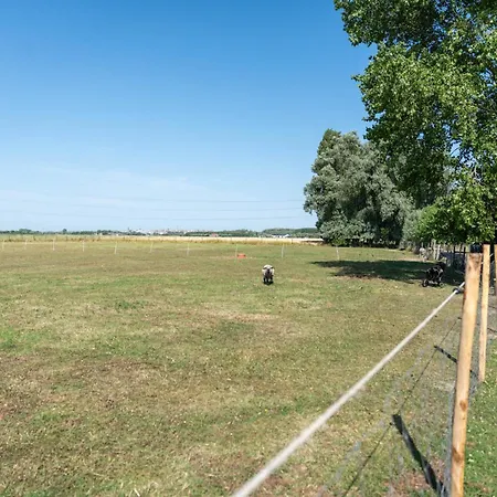 Tatil Evi Braembeyerhoek Brugge